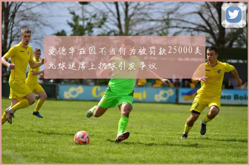 爱德华兹因不当行为被罚款25000美元球迷席上扔球引发争议
